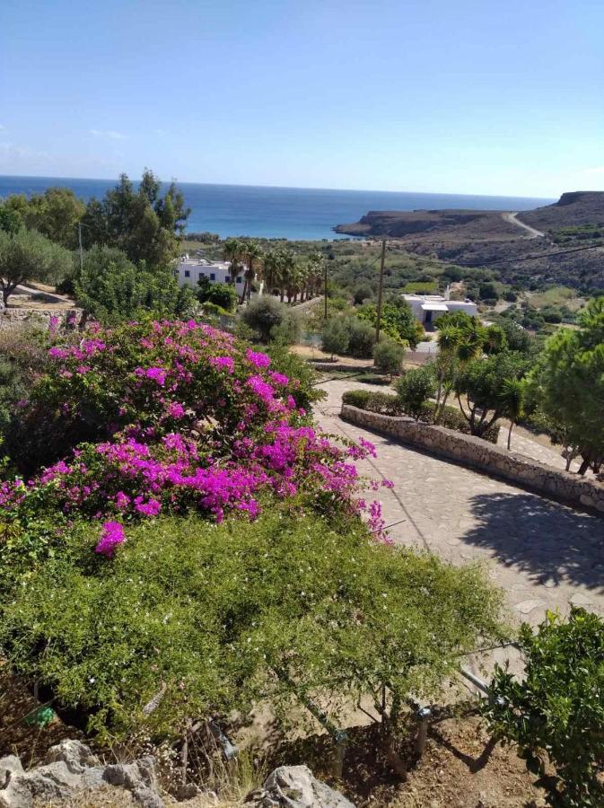 Anthia Apartment Sea View Káto Zákros Dış mekan fotoğraf