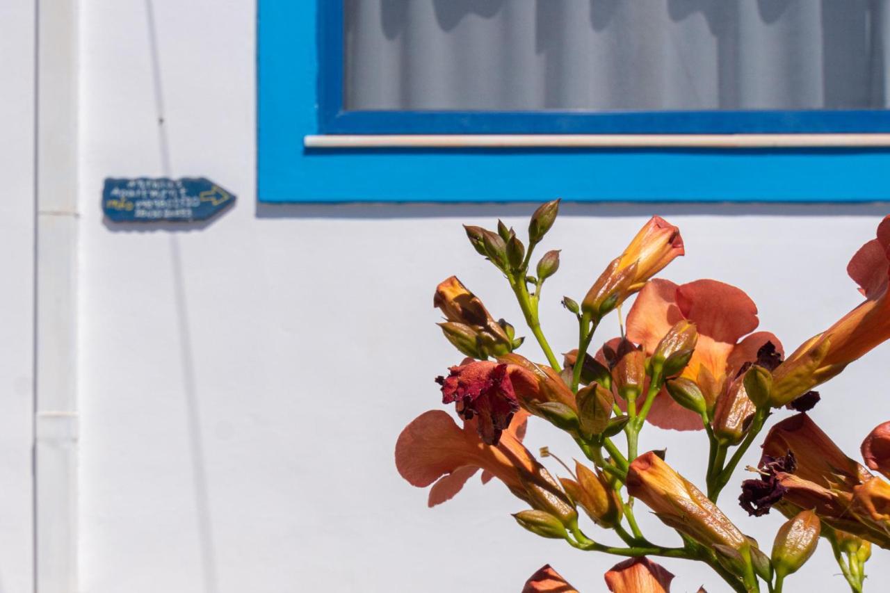 Anthia Apartment Sea View Káto Zákros Dış mekan fotoğraf